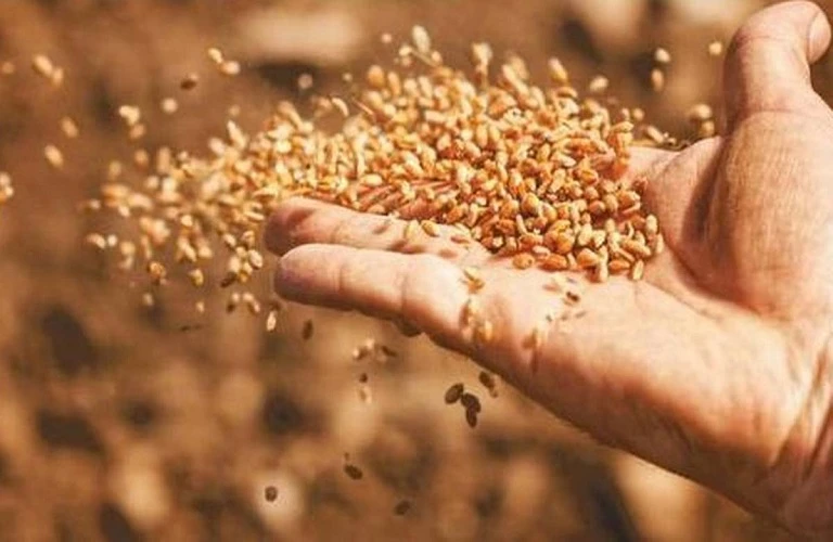 «Καμπανάκι» ΟΗΕ: Το 2023 θα μπορούσε να είναι έτος έλλειψης τροφίμων